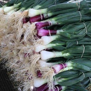 Spring onions on market stand.