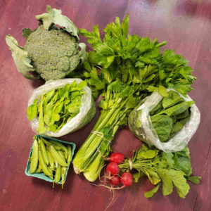CSA 2021, Week 8: Broccoli, Celery, Radishes, Snap Peas, Spinage and Arugula