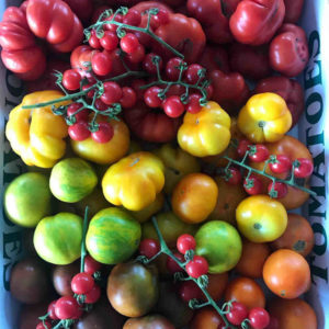 Box of Mixed Farmers Market Tomatoes