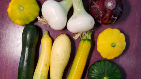Zucchini, zephyr, yellow, golden zucchini and patty pan summer squash with market onions