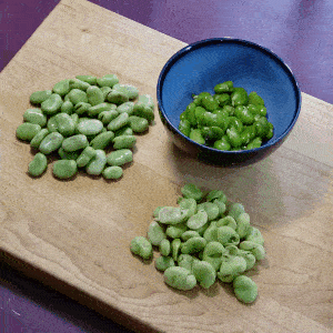 Animated GIF showing how to peel blanched fava beans.