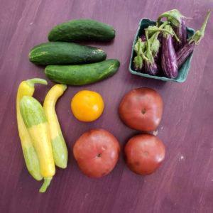 CSA 2021, Week 14 - Tomatoes, Cucumbers, Fairy Tale Eggplant and Summer Squash
