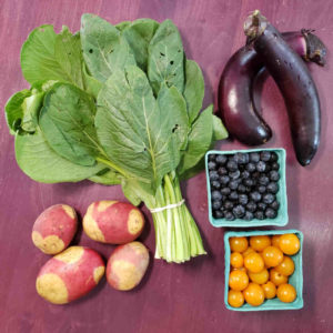 CSA 2021, Week 17 - Blueberries, Japanese Eggplant, Harlequin Gold Potatoes, Komatsuna and Sungold Cherry Tomatoes