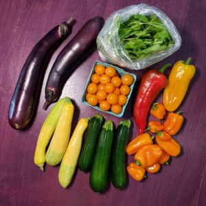 CSA 2021, Week 18 - Japanese Eggplant, Zephyr Squash, Zucchini, Arugula, Sun Gold Tomatoes and Mixed Sweet Peppers