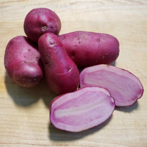 Beautiful pink fleshed Terra Rosa potatoes