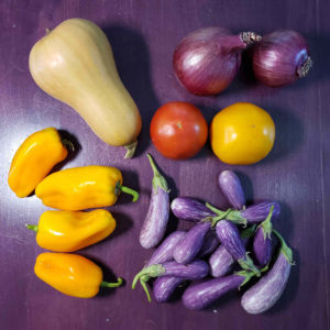 CSA 2021, Week 20 - Tomatoes, Peppers, Fairy Tale Eggplant, Red Onion and Butternut Squash
