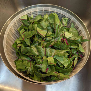 Once the greens are cut, rinse them well. I put them in the basket of a salad spinner, fill the bowl with water, agitate, and then lift the basket out of the bowl of water, and dump the water. Repeat if necessary. No need to spin, a little excess moisture is fine.